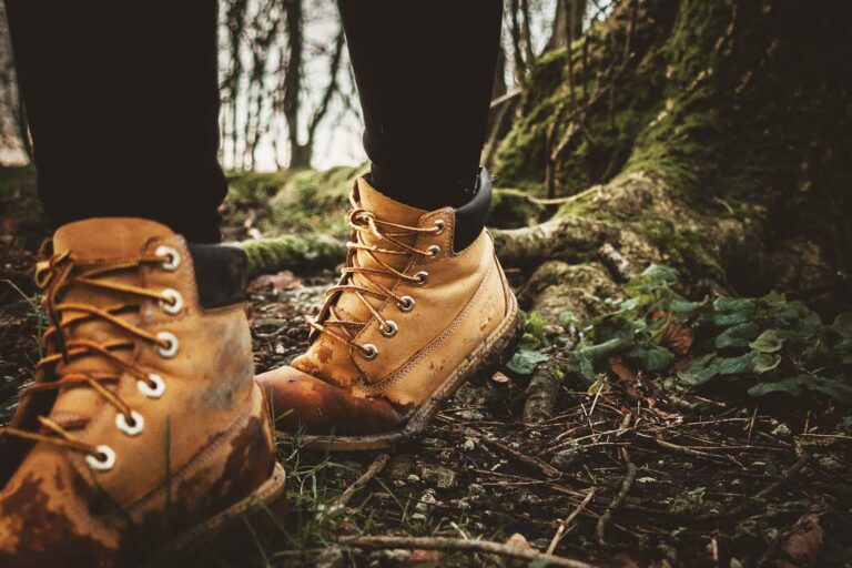 Walking in the woods