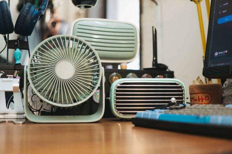 Fan