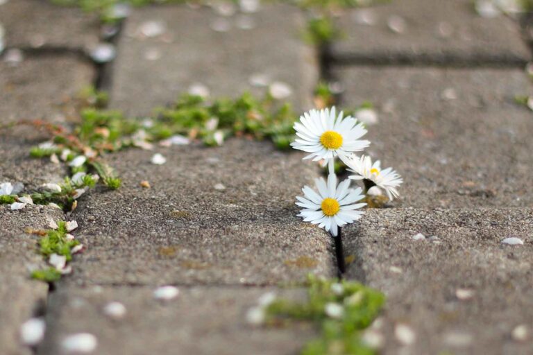 resilience